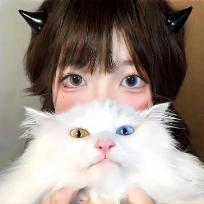 摇滚藏獒
